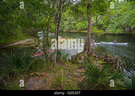 PoE Springs Park verfügt über eine Süßwasserquelle fließenden heraus zu den nahe gelegenen Santa Fe-Fluss in Nord-Zentral-Florida. Stockfoto