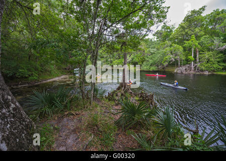 PoE Springs Park verfügt über eine Süßwasserquelle fließenden heraus zu den nahe gelegenen Santa Fe-Fluss in Nord-Zentral-Florida. Stockfoto