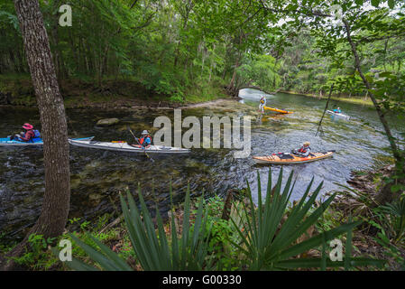 PoE Springs Park verfügt über eine Süßwasserquelle fließenden heraus zu den nahe gelegenen Santa Fe-Fluss in Nord-Zentral-Florida. Stockfoto