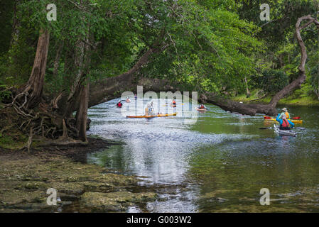 PoE Springs Park verfügt über eine Süßwasserquelle fließenden heraus zu den nahe gelegenen Santa Fe-Fluss in Nord-Zentral-Florida. Stockfoto