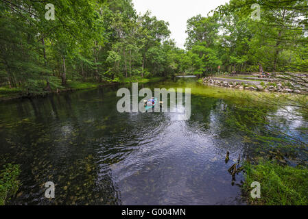 PoE Springs Park verfügt über eine Süßwasserquelle fließenden heraus zu den nahe gelegenen Santa Fe-Fluss in Nord-Zentral-Florida. Stockfoto