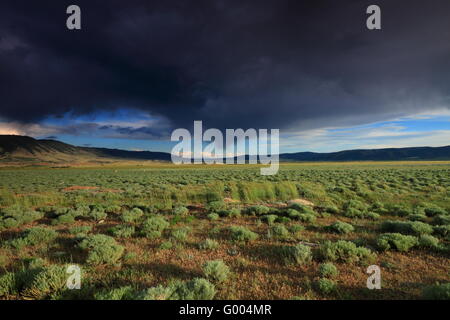 Schönen wolkenverhangenen Himmel in der Prärie Stockfoto