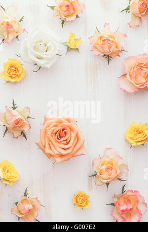 Verschiedene frische Rosen Köpfe. Verschiedene natürliche weiche Farbe Rosen als Hintergrund. Draufsicht, getönten Jahrgang Bild Stockfoto