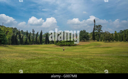 Königliche Botanische Gärten, Kandy, Sri Lanka Stockfoto