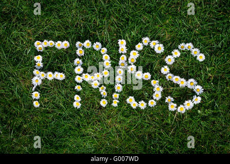 Wort aus wilden Gänseblümchen (Bellis Perennis) auf grünem Rasen Hintergrund gemacht. Stockfoto