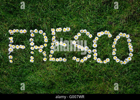 Wort aus wilden Gänseblümchen (Bellis Perennis) auf grünem Rasen Hintergrund gemacht. Stockfoto