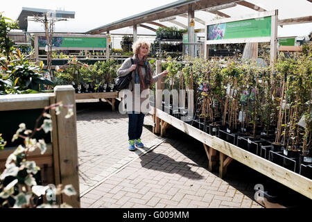 Frau auf der Suche um ein Wyevale Gartencenter Blick auf Pflanzen und Bäume zu kaufen Stockfoto