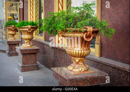 grüne Pflanze im Inneren große konkrete Vase auf der Stadtstraße Stockfoto