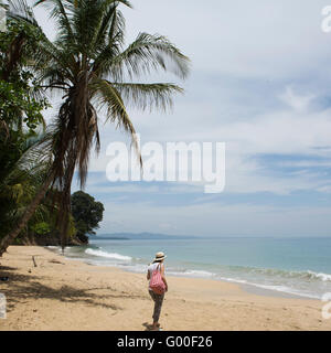 Eine Frau spaziert auf Uva-Strand in Costa Rica. Der goldene Sand des Strandes ist durch das Karibische Meer gewaschen und von Palmen gesäumt. Stockfoto