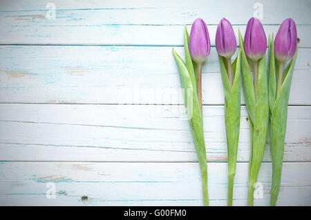 Rosa Tulpen auf hölzernen Hintergrund mit Raum Stockfoto