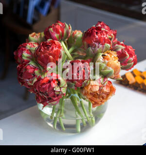 Papagei-Tulpen in einer Glasvase, romantische Bouquet, Frühlingsblumen, ein Blumenstrauß, festliches bouquet Stockfoto