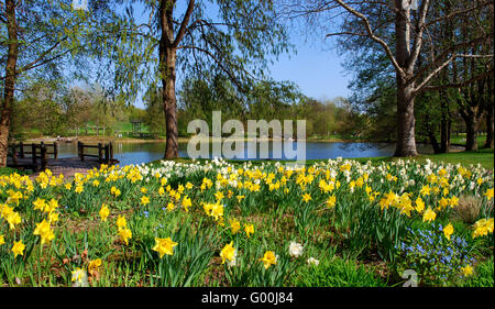 Frühling Im Park Stockfoto