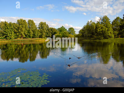 Park Stockfoto