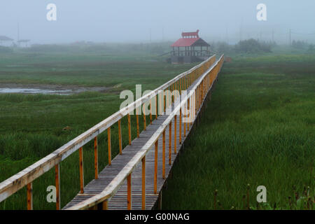 Brücke durch Rasen Stockfoto