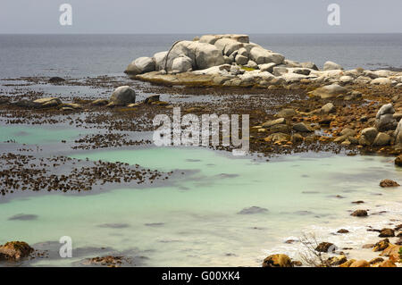 Bin Boulders Beach Bei Simons Town Stockfoto
