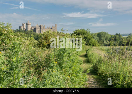 Ein Fußweg entlang dem Fluss Arun mit Arundel Castle im Hintergrund laufen. Stockfoto