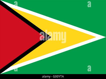 Guyana-Flagge Stockfoto