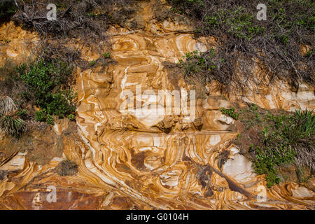 Australien, New South Wales, Central Coast, Bouddi National Park, wunderschön Paterned Hawksbury Sandstein in Maitland Bay. Stockfoto