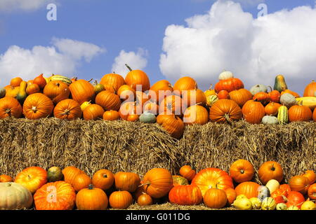 Kürbisse auf Strohballen (Heu) Stockfoto