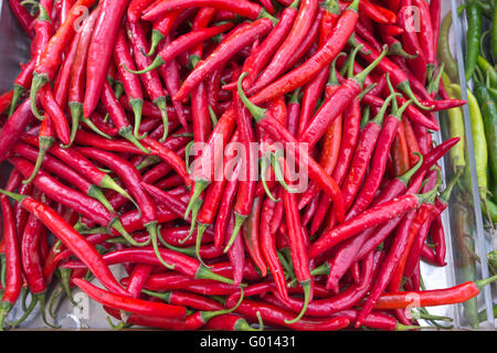 rote scharfe Chilischoten Stockfoto