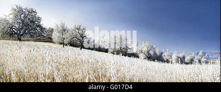 Erstarrte Landschaft Stockfoto