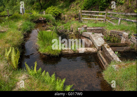 Cisty Clough Wasseraufnahme in Whitendale Stockfoto