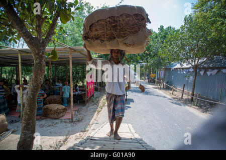 Ein Arbeiter tragen viele Tabaksorten außerhalb von Dhaka, Bangladesch, vatara manikganj. Stockfoto