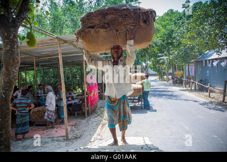 Ein Tabak Arbeiter tragen viele Tabaksorten außerhalb von Dhaka, Bangladesch, vatara manikganj. Stockfoto