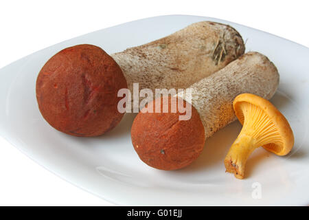 Rohe Pilze auf einem Teller. Orange-Cap Steinpilzen (ESPE) und Pfifferlinge. Isoliert auf weiss Stockfoto