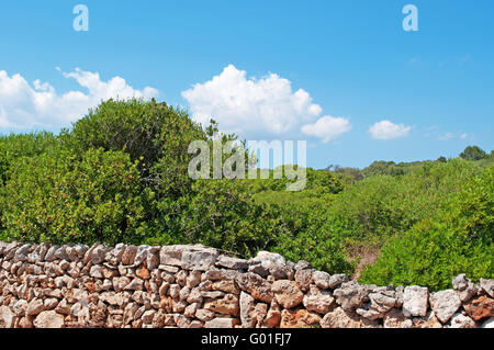 Menorca, Balearen: eine Mauer aus Stein und die mediterrane Macchia in der Landschaft Menorcas Stockfoto