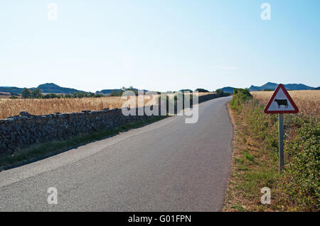 Menorca, Balearen, Spanien, Europa: Warnzeichen für die Passage der Kühe in der menorquinischen Landschaft Stockfoto