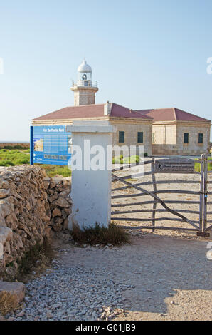 Menorca, Balearen, Spanien, Europa: Red Rocks und Natur auf dem Weg zur Punta Nati Leuchtturm, im Jahre 1913 im äußersten Nordwesten der Insel eröffnet Stockfoto