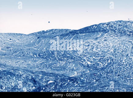 1 blaue abstrakte Landschaft, handgemalte Hintergrund auf Aquarellpapier Stockfoto