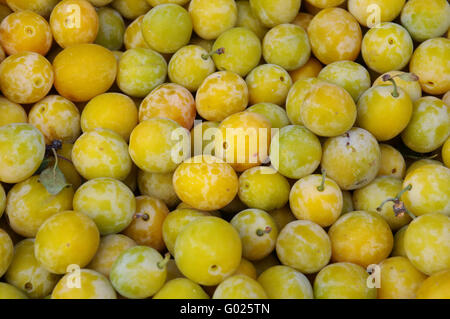 Mirabelle Pflaumen Stockfoto