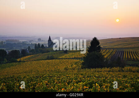 Sonnenaufgang über den Weinbergen von Hunawihr, Frankreich Stockfoto