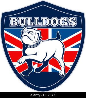 Englische Bulldogge-britischen Rugby-Sport-Team-Maskottchen Stockfoto