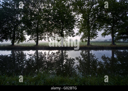 Morgennebel am Canal du Centre, Burgund, Frankreich Stockfoto