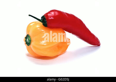 Orange Habanero Paprika Stockfoto