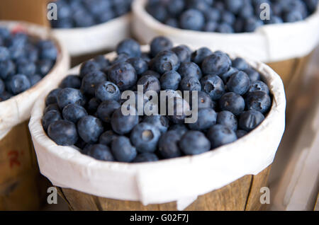 Heidelbeeren in einem Korb auf einem Markt stall Blueberr Stockfoto