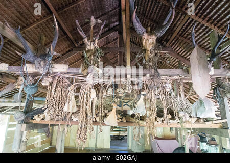 Tierische Schädel als Dekoration Mentawai-Stamm-Haus in Muara Siberut, West-Sumatra. Stockfoto