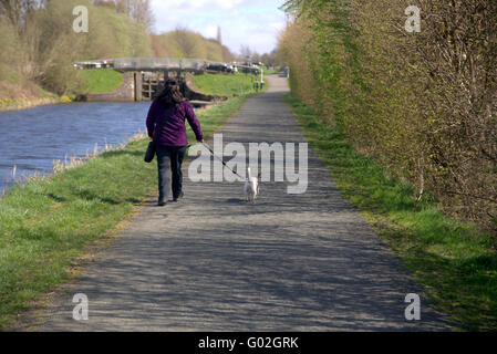 Forth und Clyde Kanal-Pfad in der Nähe von Glasgow Besitzer mit Hund zu Fuß Stockfoto