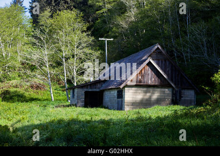 ZWEITEN Weltkriegs Radar Staion B71 steht immer noch entlang der kalifornischen Küste im Redwood National Park. Stockfoto