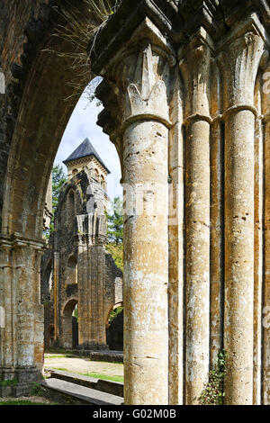 Alte und neue Abtei Orval, Ardennen, Wallonien, Belgien Stockfoto