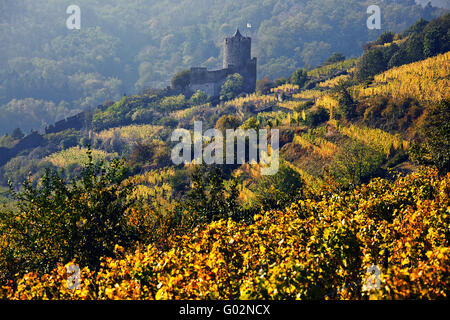 Kaysersberg-Burg und Weinberge, Elsass, Frankreich Stockfoto