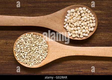 Geplatzten Quinoa Getreide und rohe weiße Quinoa Getreide (lat. Chenopodium Quinoa) auf kleine Löffel Stockfoto