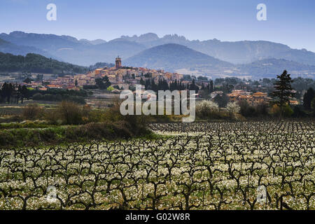 Weinberge und das Dorf von Sablet, Provence Stockfoto