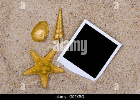 Fotorahmen mit goldene Muscheln auf Sand Hintergrund Stockfoto