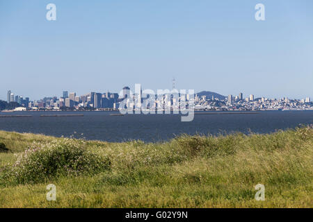 Morgen Wiese Blick über die Bucht von San Francisco. Stockfoto