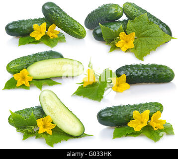 Satz von Gurken Gemüse mit Blättern und Blüten isoliert Stockfoto