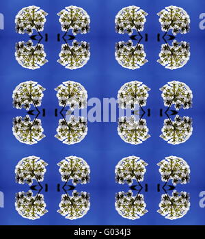 Reihe von natürlichen Musterdesigns (Blumenstrauß) Stockfoto